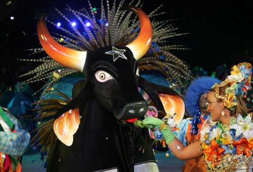 Boi Caprichoso com estrela na testa